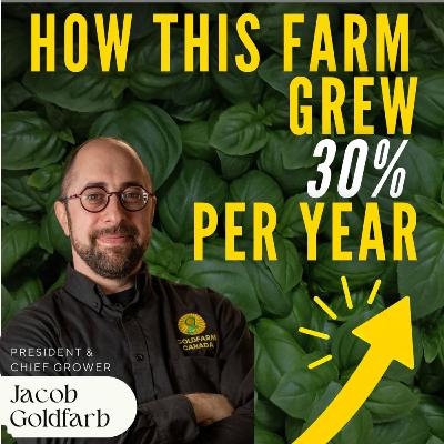 Microgreens Business Strategy: From Side Hustle to Scalable Operation