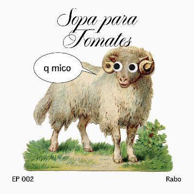 sopa para tomates #2 - rabo