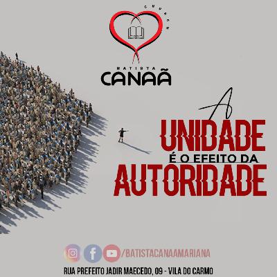 A UNIDADE É O EFEITO DA AUTORIDADE A UNIDADE É O EFEITO DA AUTORIDADE