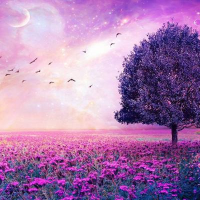 Ep.2 – Ajeti za razmišljanje   Sura Fatir Stvoritelj   Idris Al Hashemi ᴴᴰ   Surah Fatir