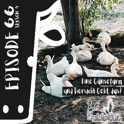 Episode 66: Eine Gänsefarm und Tierwohl: geht das?