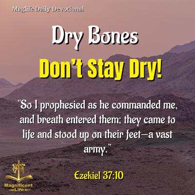 Dry Bones Don’t Stay Dry!