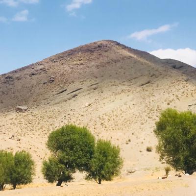 شعر بیگانه از محمود درویش