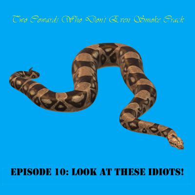 9. Look at These Idiots! 9. Look at These Idiots!