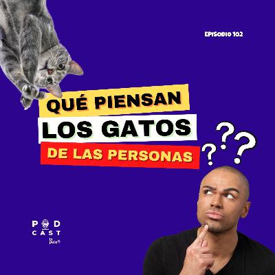 ¿Qué piensan los gatos de las personas? - Podcast La Pata, episodio 102 ¿Qué piensan los gatos de las personas? - Podcast La Pata, episodio 102