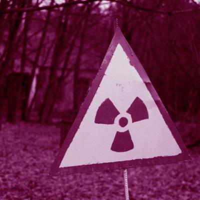 פטריית העל ש"אוכלת" קרינה גרעינית פטריית העל ש"אוכלת" קרינה גרעינית