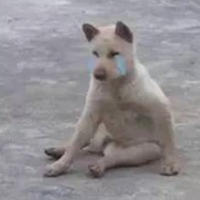 我妈从小就说我身体虚，然后现在还是虚|当代青年养生图鉴07集
