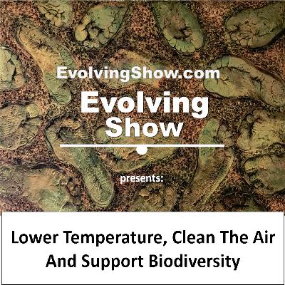 Lower Temperature, Clean The Air And Support Biodiversity