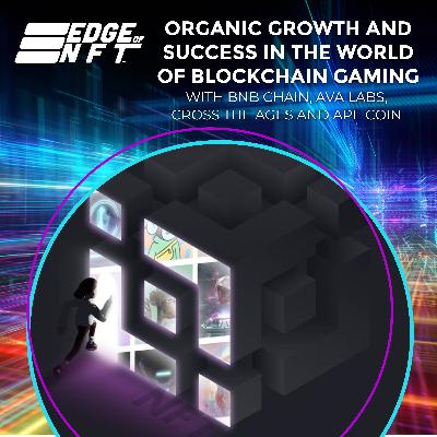 Organic Growth And Success In The World Of Blockchain Gaming With BNB Chain, Ava Labs, Cross The Ages And Ape Coin