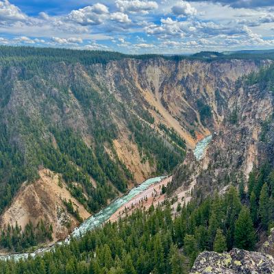 This Week in Yellowstone: July 3rd to July 9th, 2025