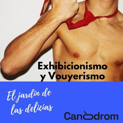Exhibicionismo y Vouyerismo Exhibicionismo y Vouyerismo