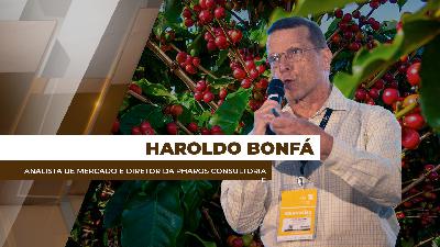 Café perde performance em preços, exportações e produtividade