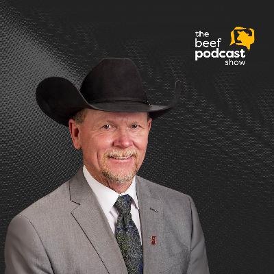 Dr. Tommy Perkins: Ultrasound in Carcass Quality | Ep. 141