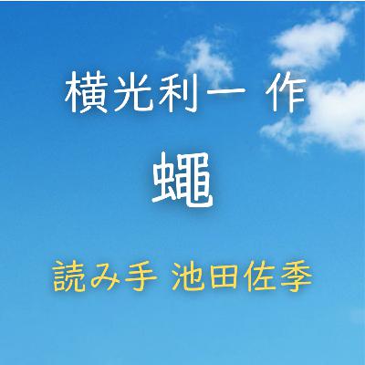 蠅 著者:横光 利一 読み手:池田 佐季 時間:17分36秒 蠅 著者:横光 利一 読み手:池田 佐季 時間:17分36秒