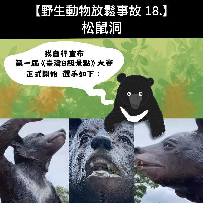 野生放鬆事故18. 松鼠洞