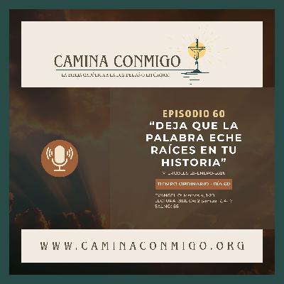 Episodio 60 -Deja que la Palabra eche raíces en tu historia (III semana del Tiempo Ordinario)