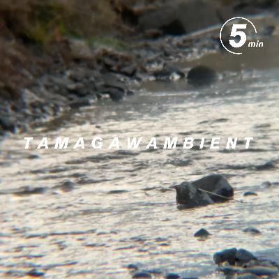 【環境音 冒頭のみ映像】目を閉じてゆっくり過ごすせせらぎの奏で｜野鳥｜川音｜リラックス｜おやすみ前に