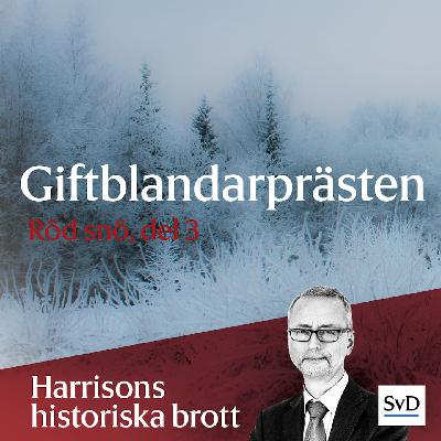 Giftblandarprästen (Röd snö, del 3)