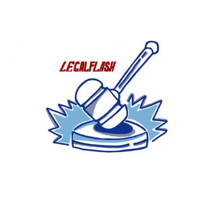 LEGAL FLASH SPECIAL #3: THE CONSTITUTION LEGAL FLASH SPECIAL #3: THE CONSTITUTION