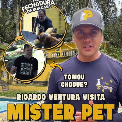 COMO O MISTER PET VIROU O MELHOR ADESTRADOR DO BRASIL! | Pela Fechadura da Sua Casa #006 COMO O MISTER PET VIROU O MELHOR ADESTRADOR DO BRASIL! | Pela Fechadura da Sua Casa #006