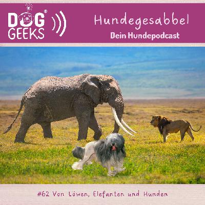 #62 DogGeeks-Hundegesabbel „Von Löwen, Elefanten und Hunden“