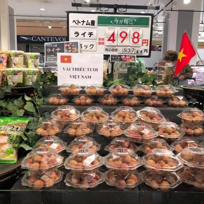 Vải thiều Việt Nam khẳng định vị thế trên thị trường thế giới - VaisomPhuchoa.com