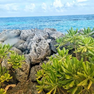 EP.25【貝里斯影片役男詠傑，都有在認真工作 Feat. 貝里斯影片役男 詠傑】