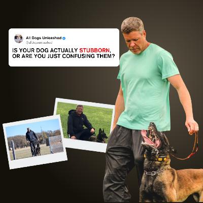 Ep. 48 - Most Trainers Get This Wrong — Here’s What Actually Works (with Brian Claeys)