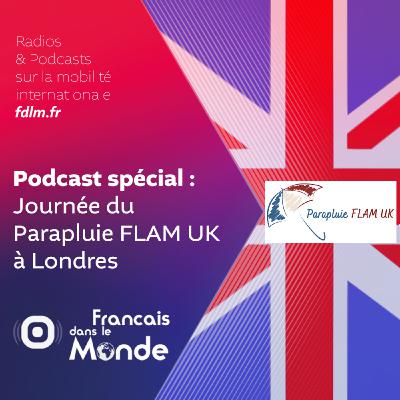 Journée Parapluie FLAM UK à Londres (Novembre 2025) Journée Parapluie FLAM UK à Londres (Novembre 2025)