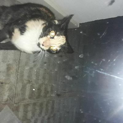 A chaque jour suffit sa peine