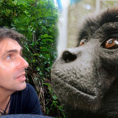 [Ep16] Le plus petit GIBBON au monde...