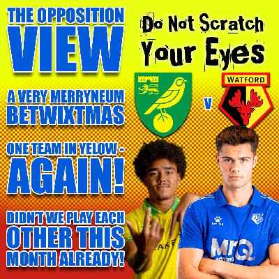THE OPPOSITION VIEW - NORWICH CITY (AWAY) THE OPPOSITION VIEW - NORWICH CITY (AWAY)