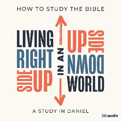 Want Godly Wisdom? Practice These Things - A Bible Study on Daniel 5