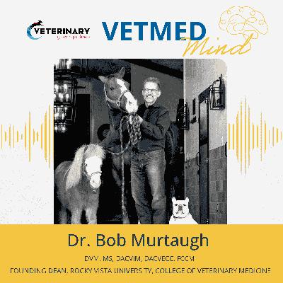 Success Stories & Lessons Learned: Bob Murtaugh