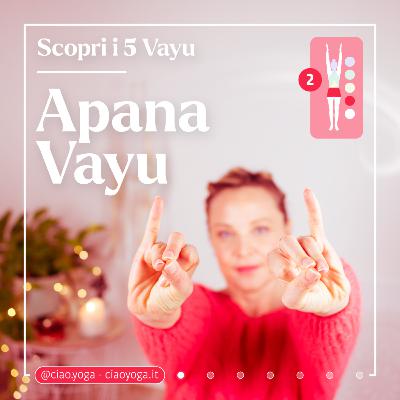 APANA VAYU: meditazione per riequilibrarlo!