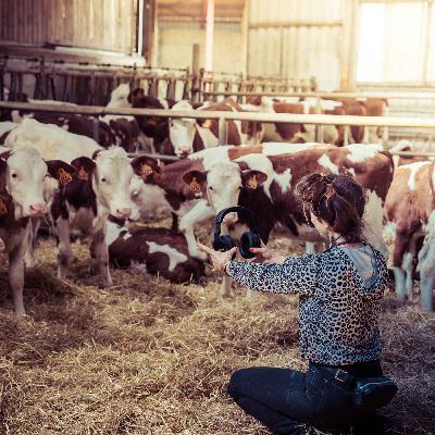 Rayonnante et Raffinée (épisode 1/4)