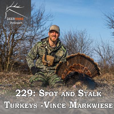 229: Spot and Stalk Turkeys - Vince Markwiese 229: Spot and Stalk Turkeys - Vince Markwiese