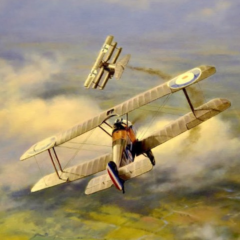 The Royal Air Force Training Establishment in 1917 - 1922 The Royal Air Force Training Establishment in 1917 - 1922