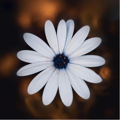 🍃S3-E131 | Presente, Aquí y Ahora