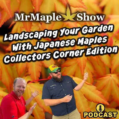 Landscaping Your Garden With Japanese Maples Collectors Corner Edition | MrMaple Show Podcast
