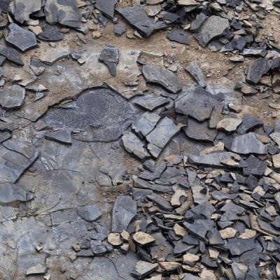 Mineralitet i vin – hvad betyder det egentlig?