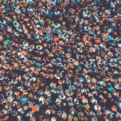 Crowds and Mobs