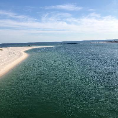 Feel Good Friday Update