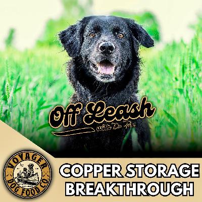 Copper Storage Breakthrough