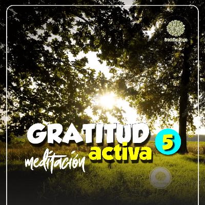 🍇 Gratitud Activa | Sraddha Meditación con Aurora. 05