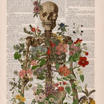 Episode 2: Anatomi Dasar Episode 2: Anatomi Dasar