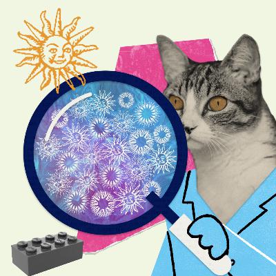 2 - Eu tenho uma teoria