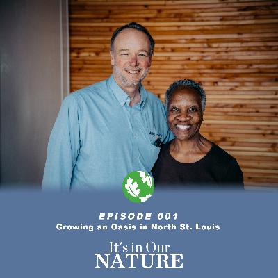 Growing an Oasis in North St. Louis