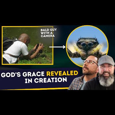 How God's Grace is Seen in BUGS