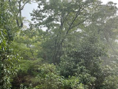 入っていく、出ていくということ from Radiotalk 入っていく、出ていくということ from Radiotalk